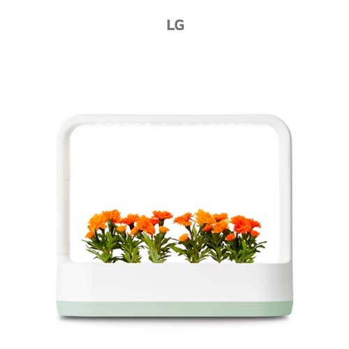 LG 식물재배기 렌탈 틔운미니 L023M1P 상추재배 양파 대파 의무5년