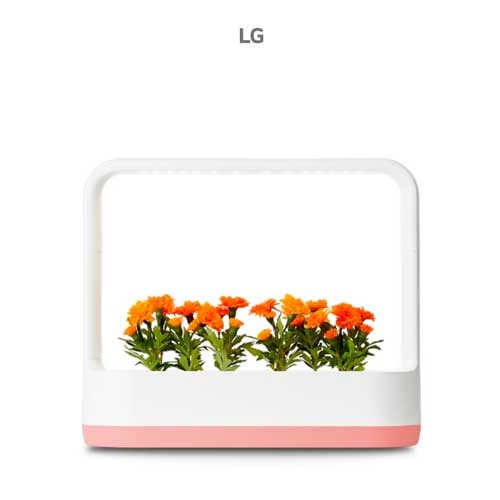 LG 식물재배기 렌탈 틔운미니 L023P1P 상추재배 양파 대파 의무5년