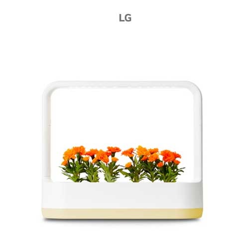 LG 틔운 식물재배기 틔운미니 렌탈 L023L1P 상추재배 양파 대파 의무5년