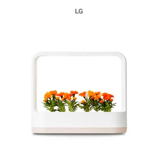 LG 식물재배기 렌탈 틔운미니 L023E1P 상추재배 양파 대파 의무5년